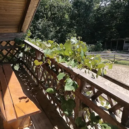 Campsite Small Organic Hemp Farm