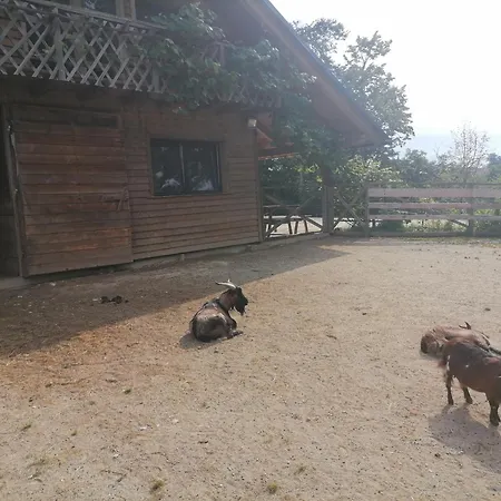 Hemp Farm Paradise Near Bled And Ljubljana