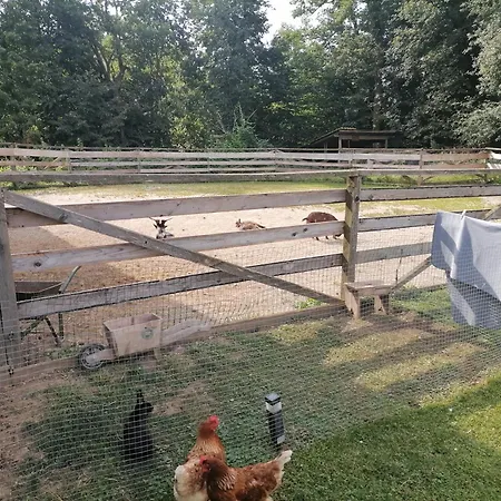 Small Organic Hemp Farm Campsite