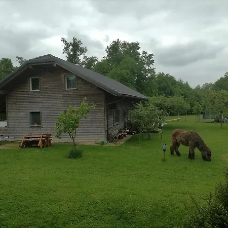 Small Organic Hemp Farm Campsite *