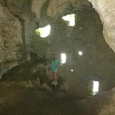 Hemp Farm Paradise Near Bled And Ljubljana Kranj