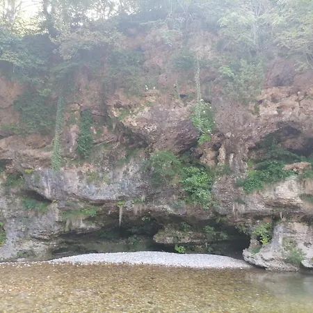 Hemp Farm Paradise Near Bled And Ljubljana Kranj