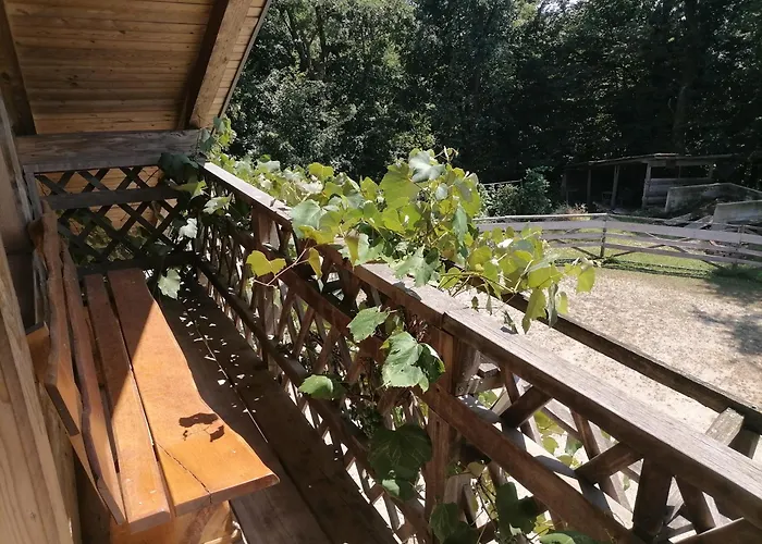 キャンプ場 Hemp Farm Paradise Near Bled And Ljubljana