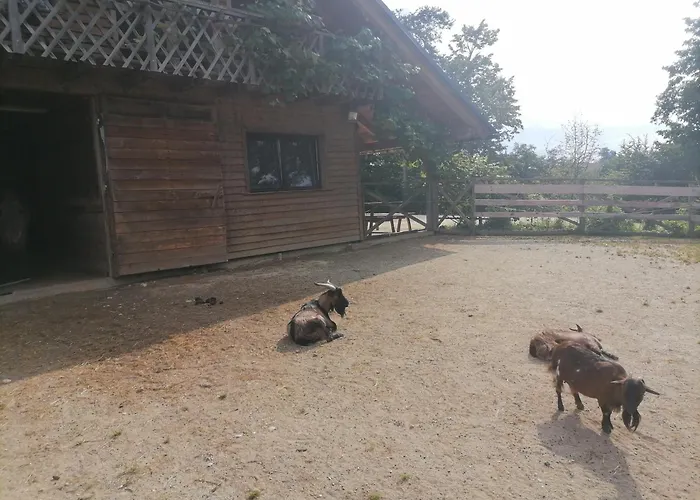 Hemp Farm Paradise Near Bled And Ljubljana