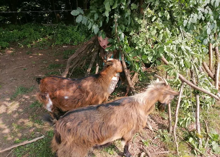 Hemp Farm Paradise Near Bled And Ljubljana Campingplads *
